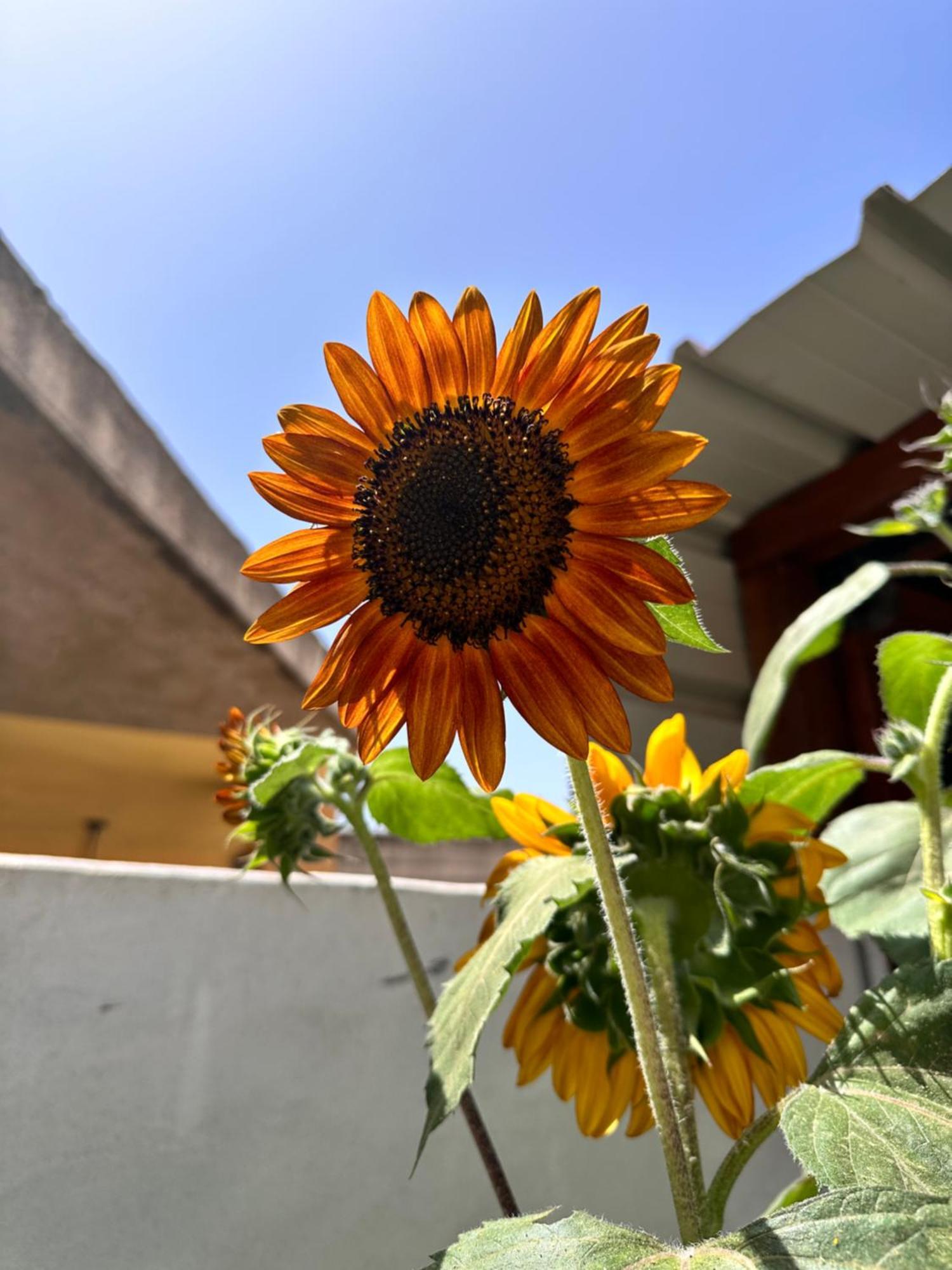 Sa Domu De Cri Villa Giba Exterior foto