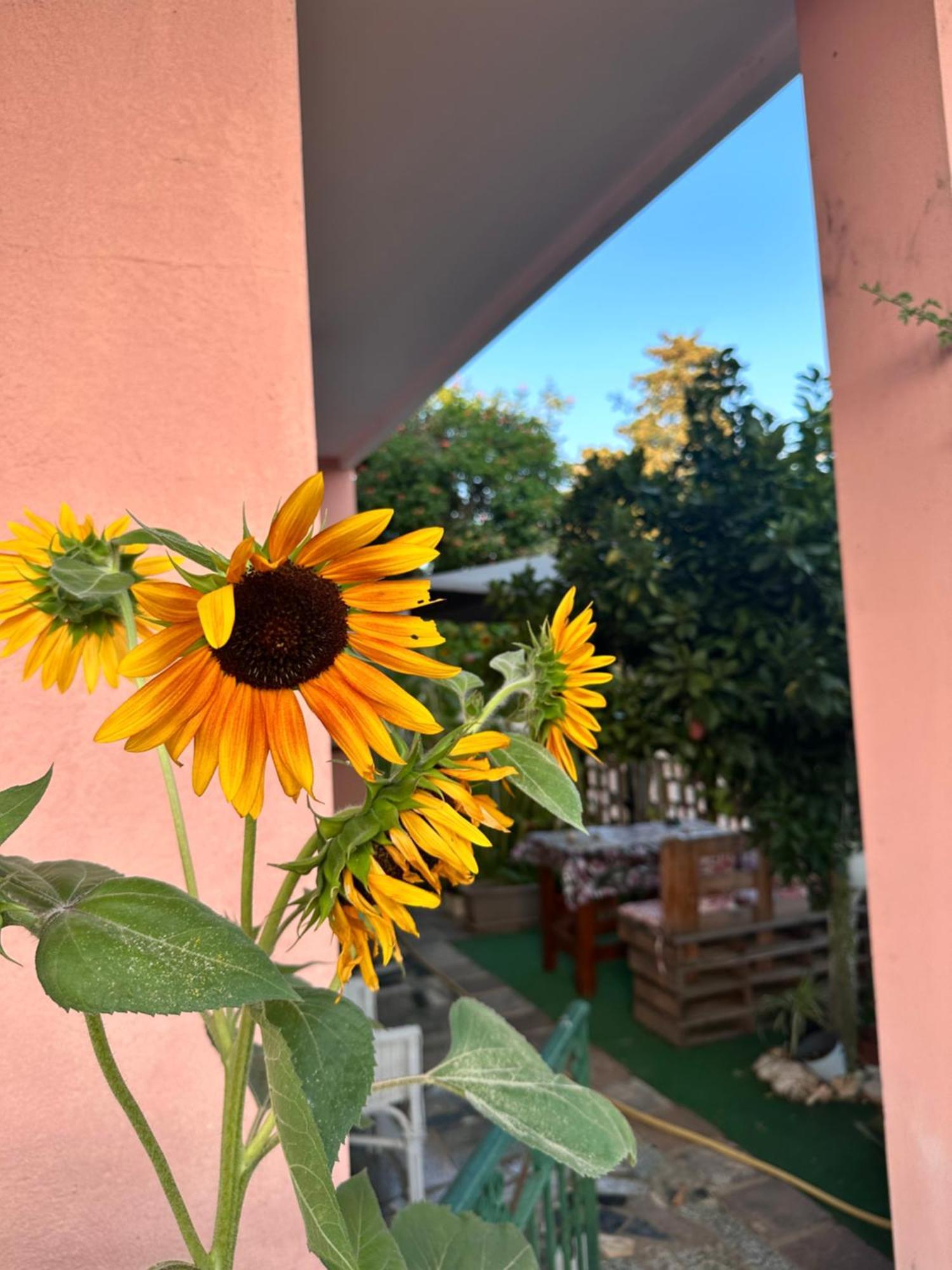 Sa Domu De Cri Villa Giba Exterior foto
