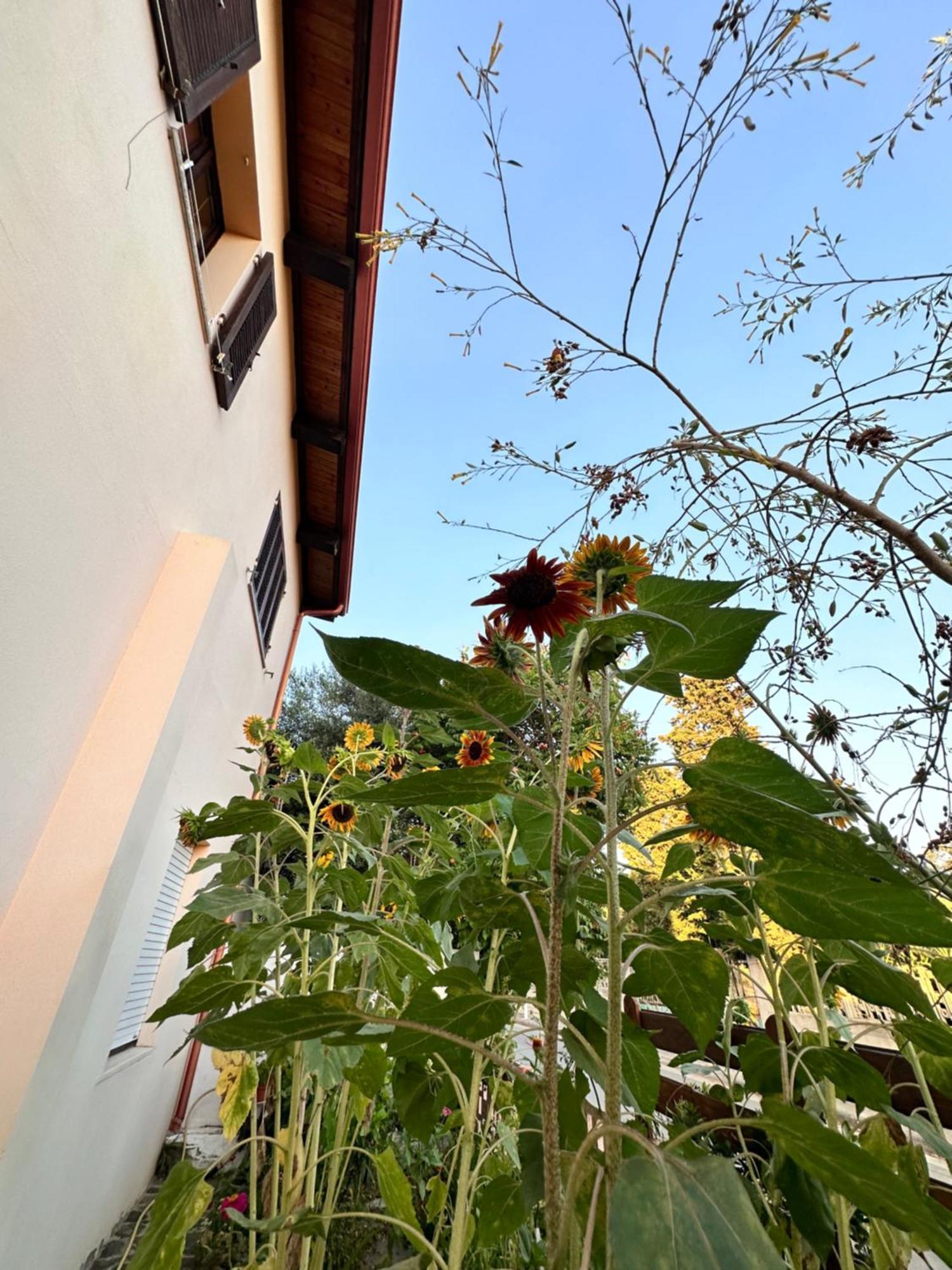 Sa Domu De Cri Villa Giba Exterior foto